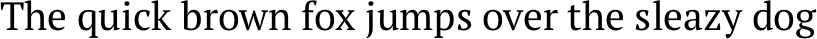 Paratype Serif example