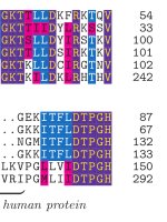 texshade-eg.pdf